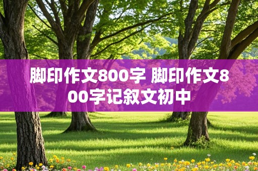 脚印作文800字 脚印作文800字记叙文初中