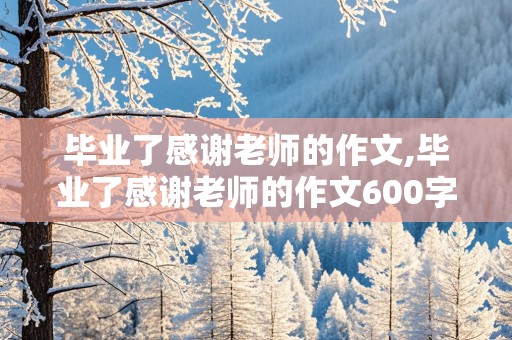 毕业了感谢老师的作文,毕业了感谢老师的作文600字