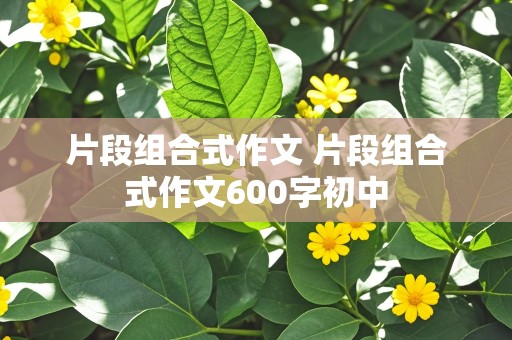 片段组合式作文 片段组合式作文600字初中