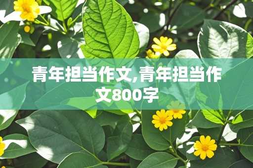 青年担当作文,青年担当作文800字