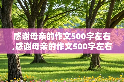 感谢母亲的作文500字左右,感谢母亲的作文500字左右六年级