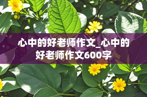 心中的好老师作文_心中的好老师作文600字