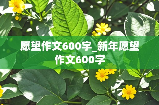 愿望作文600字_新年愿望作文600字