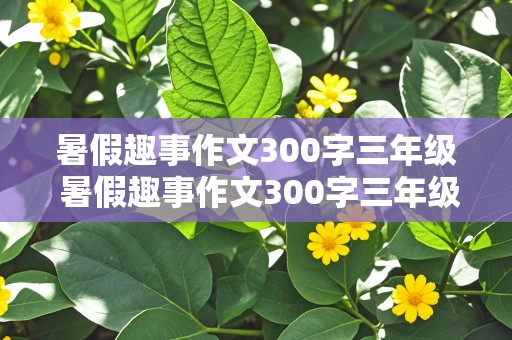 暑假趣事作文300字三年级 暑假趣事作文300字三年级下册