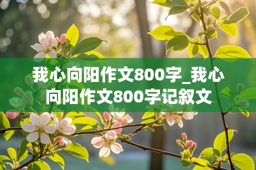 我心向阳作文800字_我心向阳作文800字记叙文