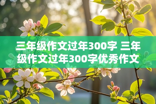 三年级作文过年300字 三年级作文过年300字优秀作文