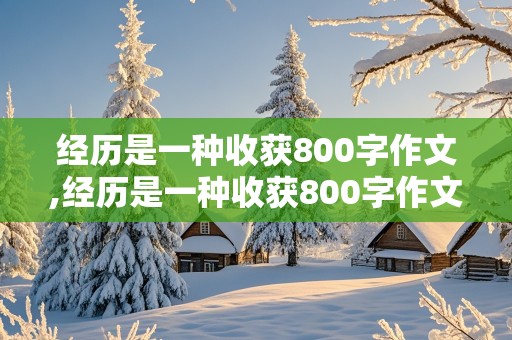 经历是一种收获800字作文,经历是一种收获800字作文记叙文