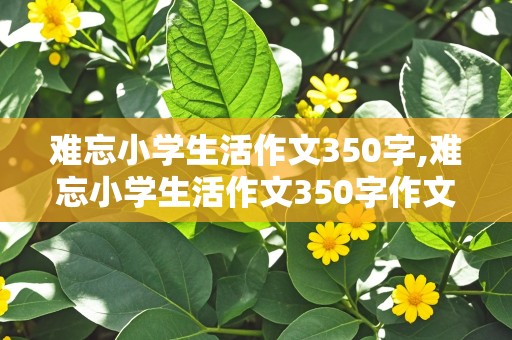 难忘小学生活作文350字,难忘小学生活作文350字作文