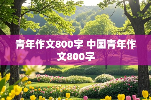 青年作文800字 中国青年作文800字