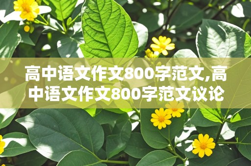 高中语文作文800字范文,高中语文作文800字范文议论文