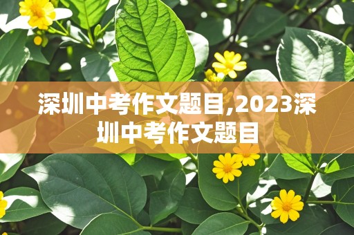 深圳中考作文题目,2023深圳中考作文题目