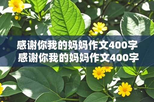 感谢你我的妈妈作文400字 感谢你我的妈妈作文400字四年级