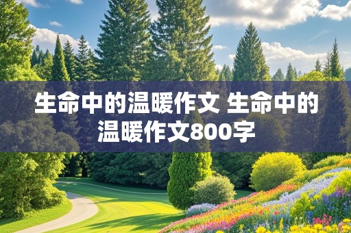 生命中的温暖作文 生命中的温暖作文800字