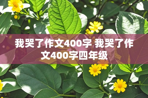 我哭了作文400字 我哭了作文400字四年级