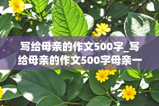 写给母亲的作文500字_写给母亲的作文500字母亲一节