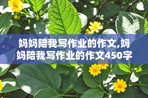 妈妈陪我写作业的作文,妈妈陪我写作业的作文450字