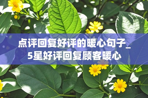 点评回复好评的暖心句子_5星好评回复顾客暖心