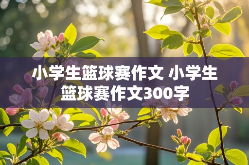 小学生篮球赛作文 小学生篮球赛作文300字