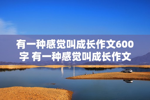 有一种感觉叫成长作文600字 有一种感觉叫成长作文800字