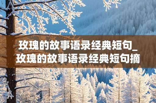 玫瑰的故事语录经典短句_玫瑰的故事语录经典短句摘抄