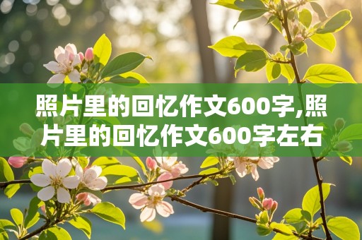 照片里的回忆作文600字,照片里的回忆作文600字左右