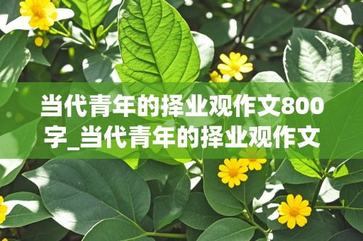 当代青年的择业观作文800字_当代青年的择业观作文800字怎么写