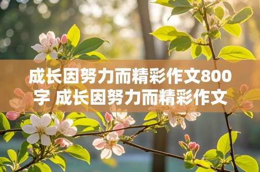 成长因努力而精彩作文800字 成长因努力而精彩作文800字初中