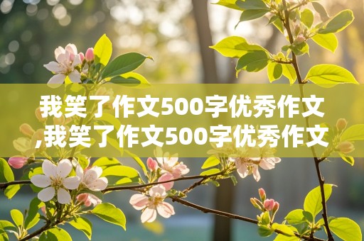 我笑了作文500字优秀作文,我笑了作文500字优秀作文大全