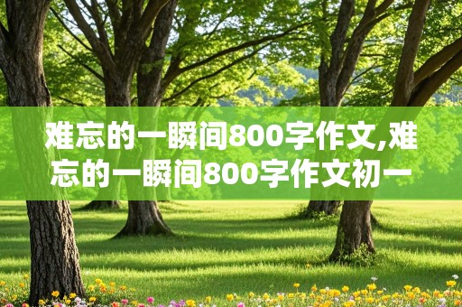 难忘的一瞬间800字作文,难忘的一瞬间800字作文初一