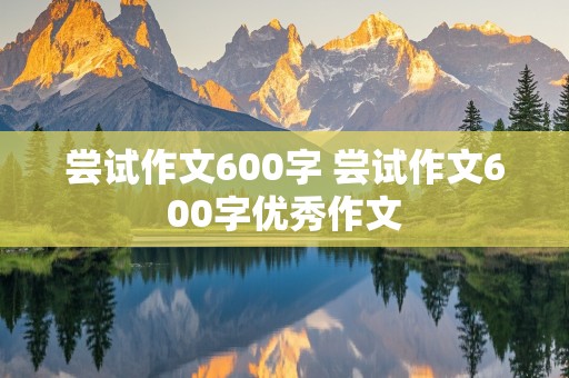 尝试作文600字 尝试作文600字优秀作文