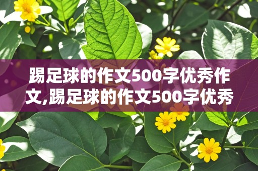 踢足球的作文500字优秀作文,踢足球的作文500字优秀作文,一件事