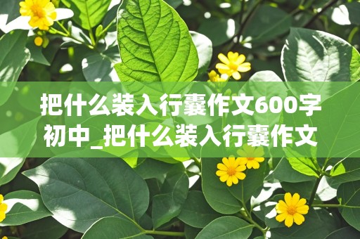 把什么装入行囊作文600字初中_把什么装入行囊作文600字初中,故事类的