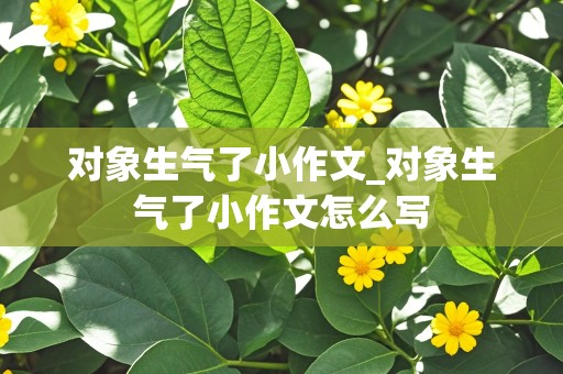 对象生气了小作文_对象生气了小作文怎么写