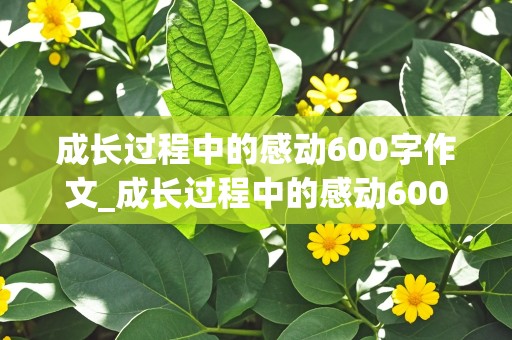 成长过程中的感动600字作文_成长过程中的感动600字作文初一