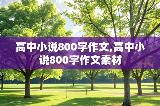 高中小说800字作文,高中小说800字作文素材