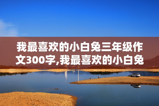 我最喜欢的小白兔三年级作文300字,我最喜欢的小白兔三年级作文300字怎么写