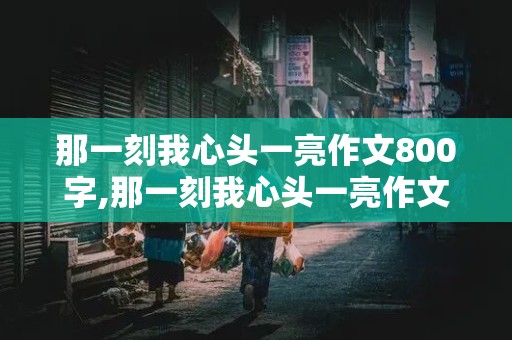 那一刻我心头一亮作文800字,那一刻我心头一亮作文800字妈妈撕了我的小说