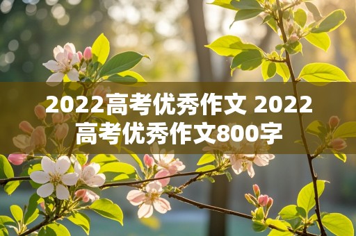 2022高考优秀作文 2022高考优秀作文800字