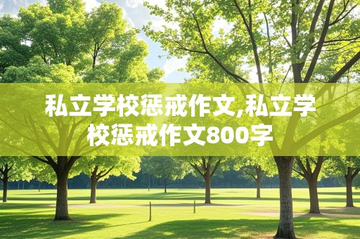 私立学校惩戒作文,私立学校惩戒作文800字