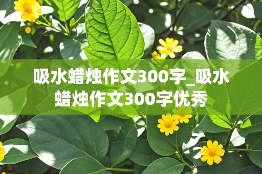 吸水蜡烛作文300字_吸水蜡烛作文300字优秀