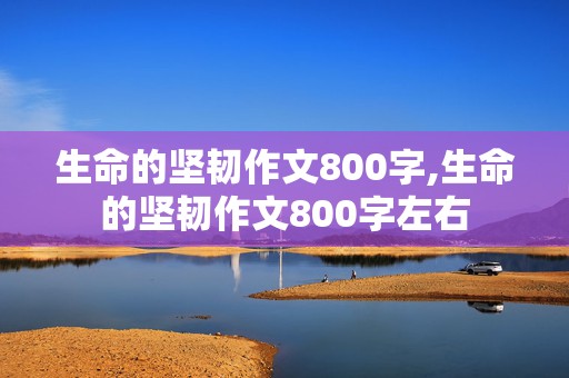 生命的坚韧作文800字,生命的坚韧作文800字左右