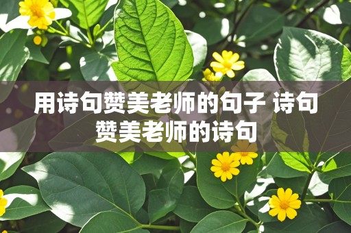 用诗句赞美老师的句子 诗句赞美老师的诗句