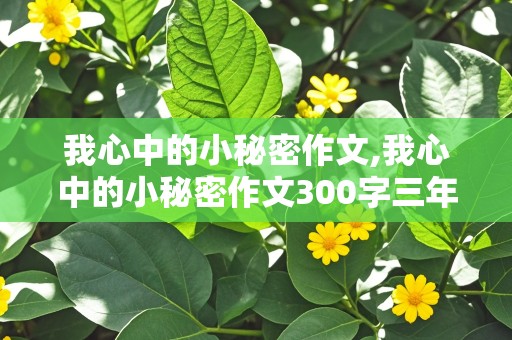 我心中的小秘密作文,我心中的小秘密作文300字三年级