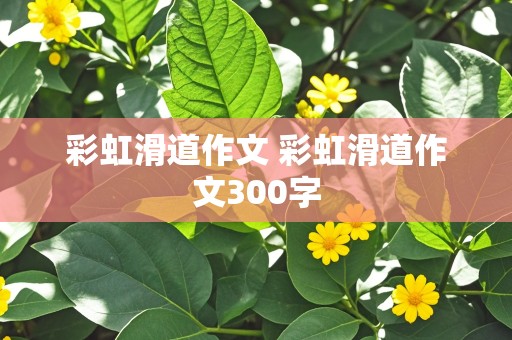 彩虹滑道作文 彩虹滑道作文300字