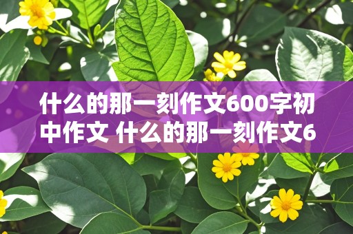 什么的那一刻作文600字初中作文 什么的那一刻作文600字初中作文细节描写