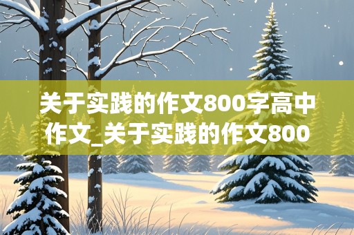 关于实践的作文800字高中作文_关于实践的作文800字高中作文议论文