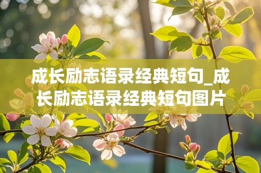 成长励志语录经典短句_成长励志语录经典短句图片