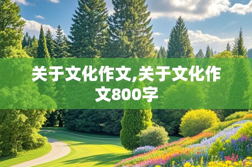 关于文化作文,关于文化作文800字