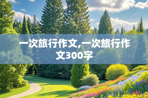 一次旅行作文,一次旅行作文300字