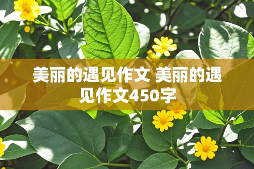 美丽的遇见作文 美丽的遇见作文450字